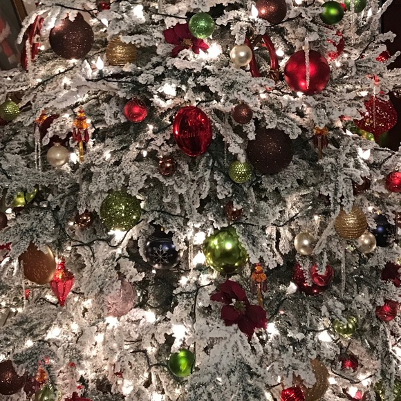 Meet your Posher, Jodi - Picture 1 of 1